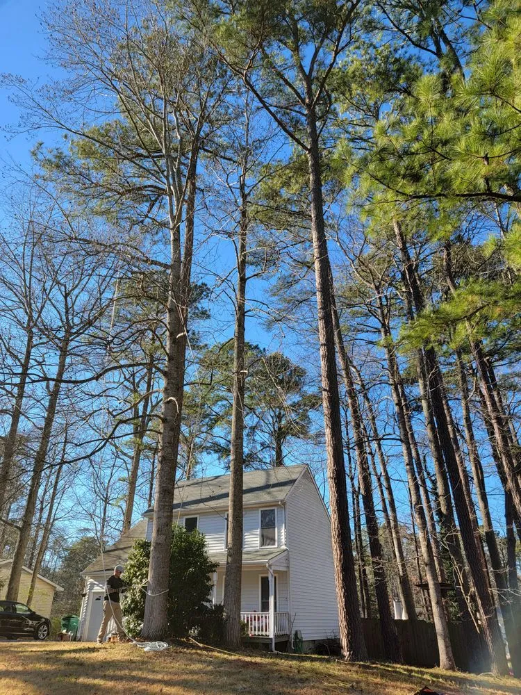 Custom landscape installation in Newport News, VA by Stump B Gone Tree Removal Services and Stump Grinding