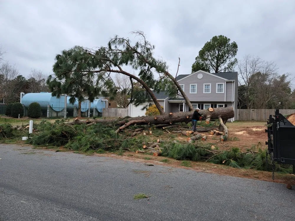 Reliable landscaping services in Newport News, VA by Stump B Gone Tree Removal Services and Stump Grinding