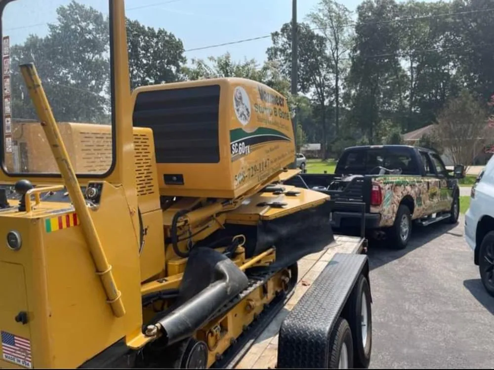 Expert landscape design for beautiful yards across Newport News, VA - Stump B Gone Tree Removal Services and Stump Grinding