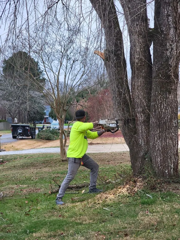 Affordable lawn mowing service experts serving Newport News, VA - Stump B Gone Tree Removal Services and Stump Grinding
