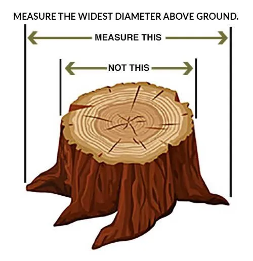 Expert landscape design near you in Valrico, FL by Stump Blasters