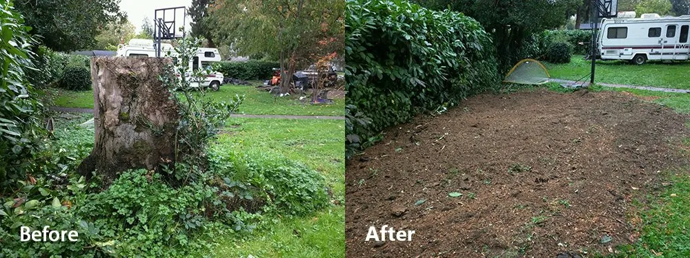 Local garden landscaping experts serving Valrico, FL - Stump Blasters