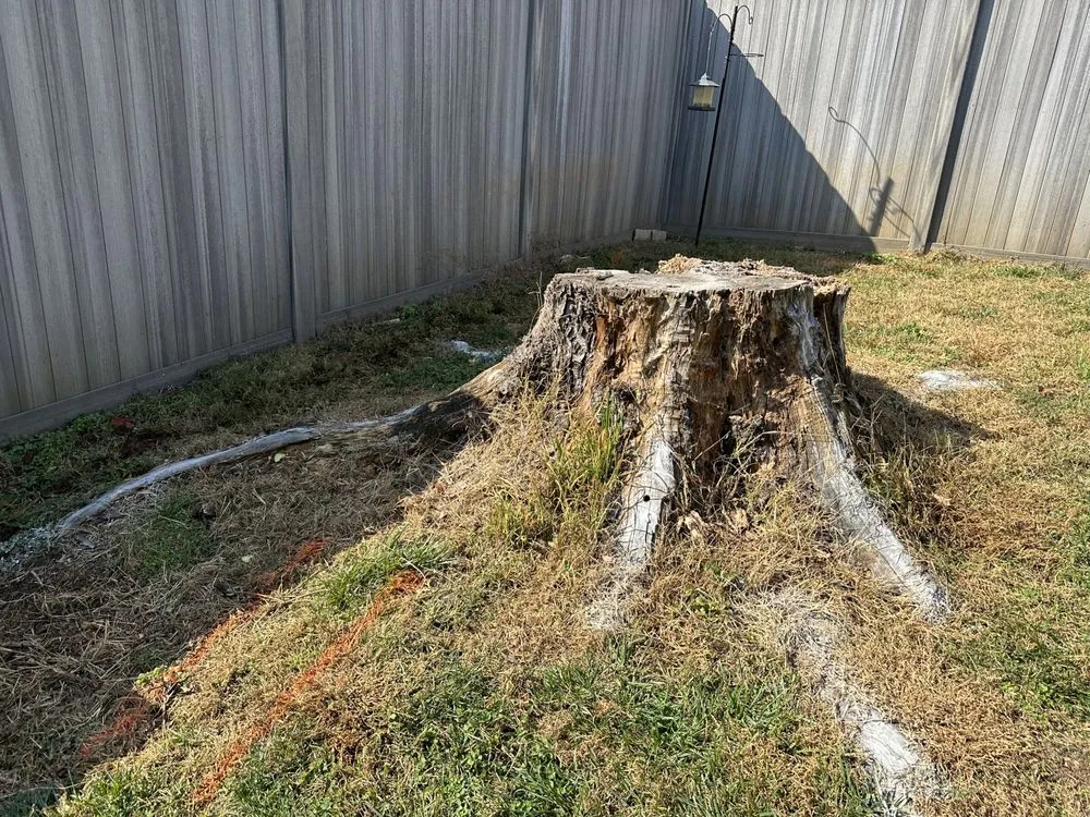 Local residential landscaping in Hollins, VA - Stump Busters