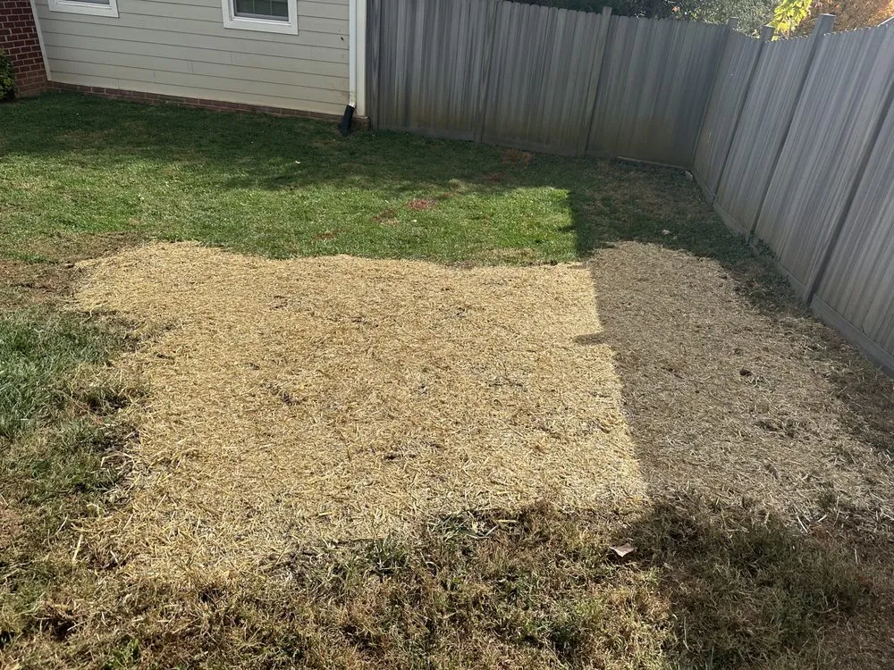 Expert residential landscaping for residential properties in Hollins, VA by Stump Busters