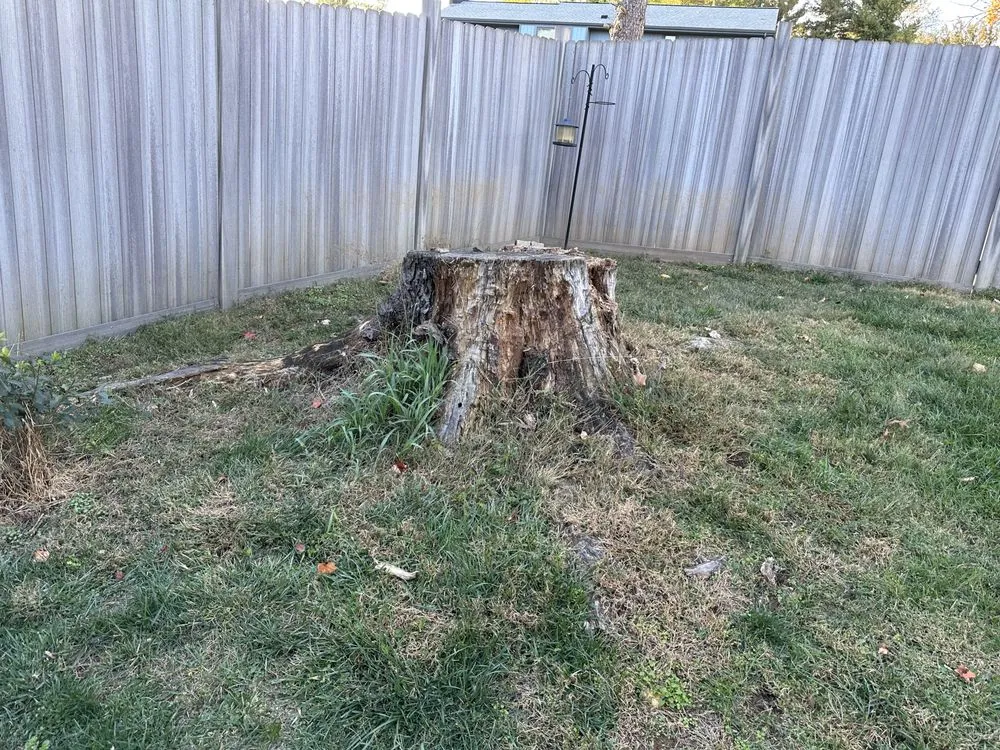 Local residential landscaping experts serving Hollins, VA - Stump Busters