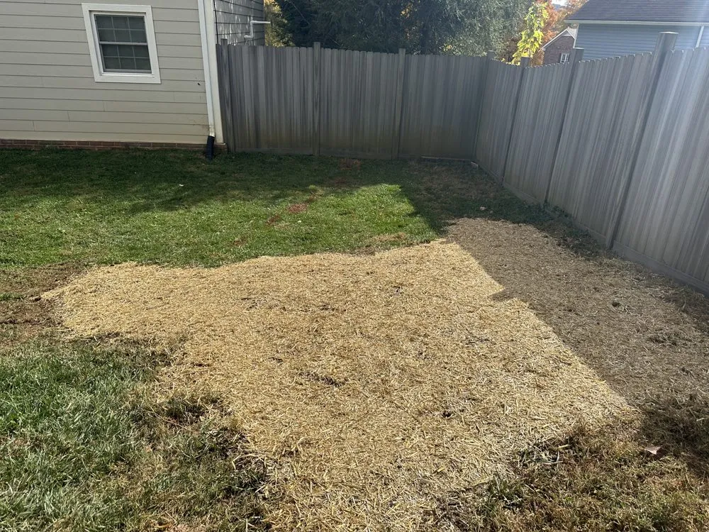 Reliable lawn care service in Hollins, VA - Stump Busters