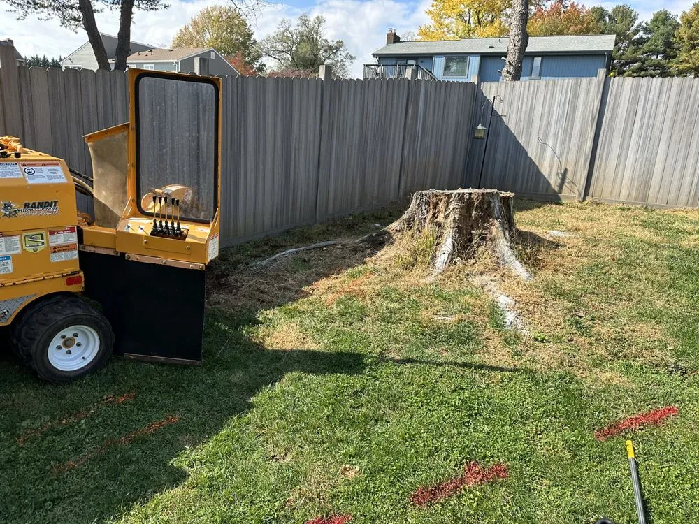 Local yard cleanup service experts serving Hollins, VA - Stump Busters