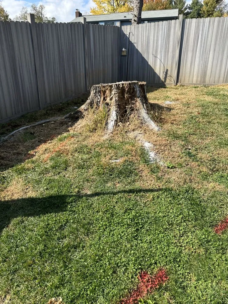 Professional outdoor landscaping experts serving Hollins, VA - Stump Busters