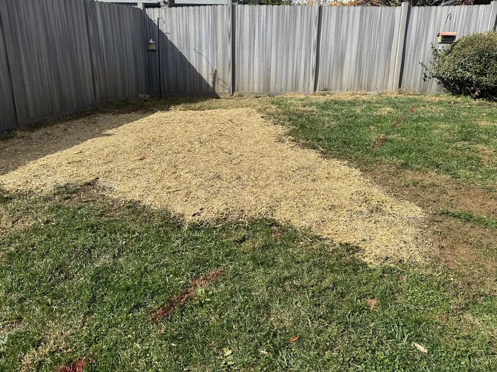 Top-rated lawn care service for year-round maintenance in Hollins, VA by Stump Busters