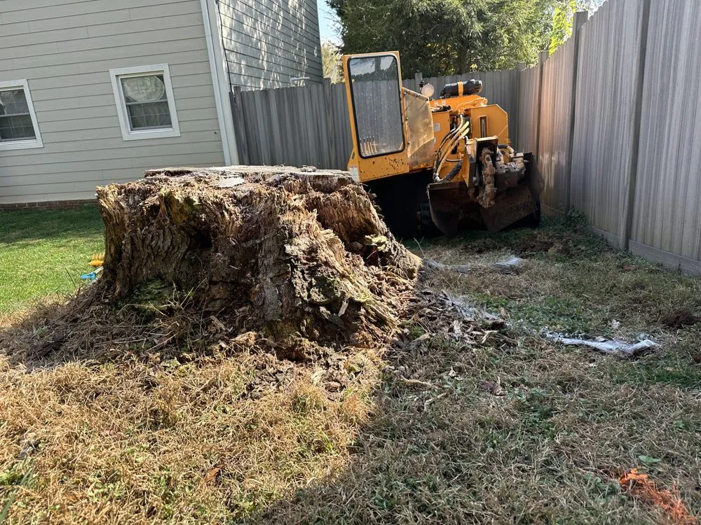 Top-rated lawn care service experts serving Hollins, VA - Stump Busters