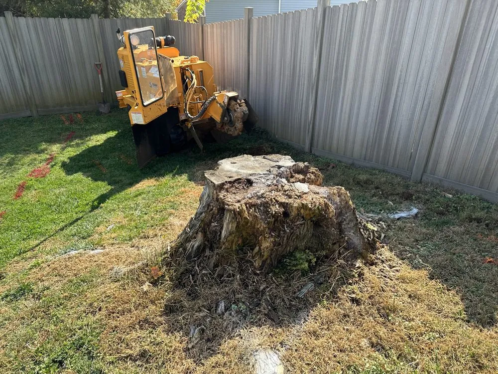 Local outdoor landscaping in Hollins, VA by Stump Busters