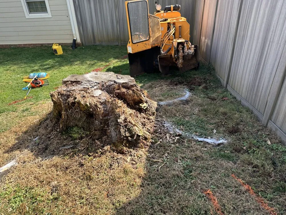 Expert landscape installation near you across Hollins, VA - Stump Busters
