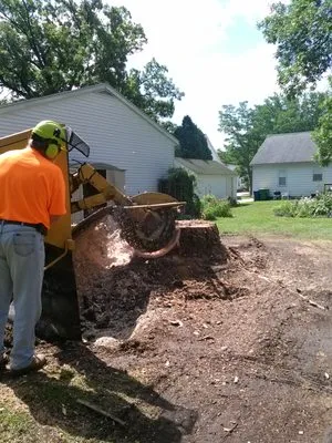 Stump Busters Logo