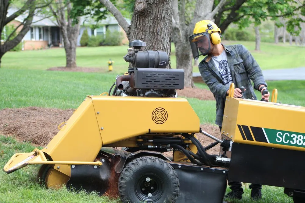Trusted outdoor landscaping for homes in Matthews, NC by Stump Busters Stump Grinding