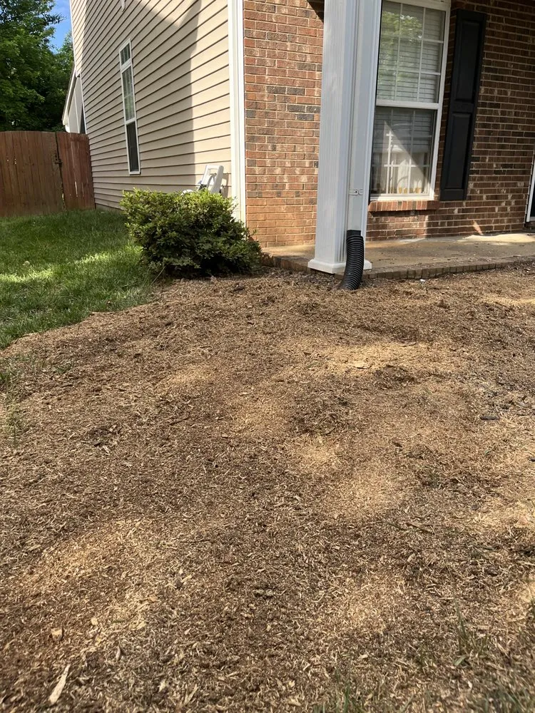 Professional landscaping services in Matthews, NC - Stump Busters Stump Grinding