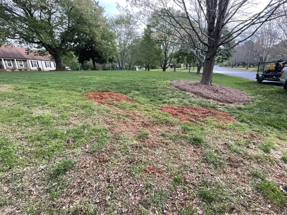Top-rated yard maintenance for beautiful yards across Matthews, NC - Stump Busters Stump Grinding
