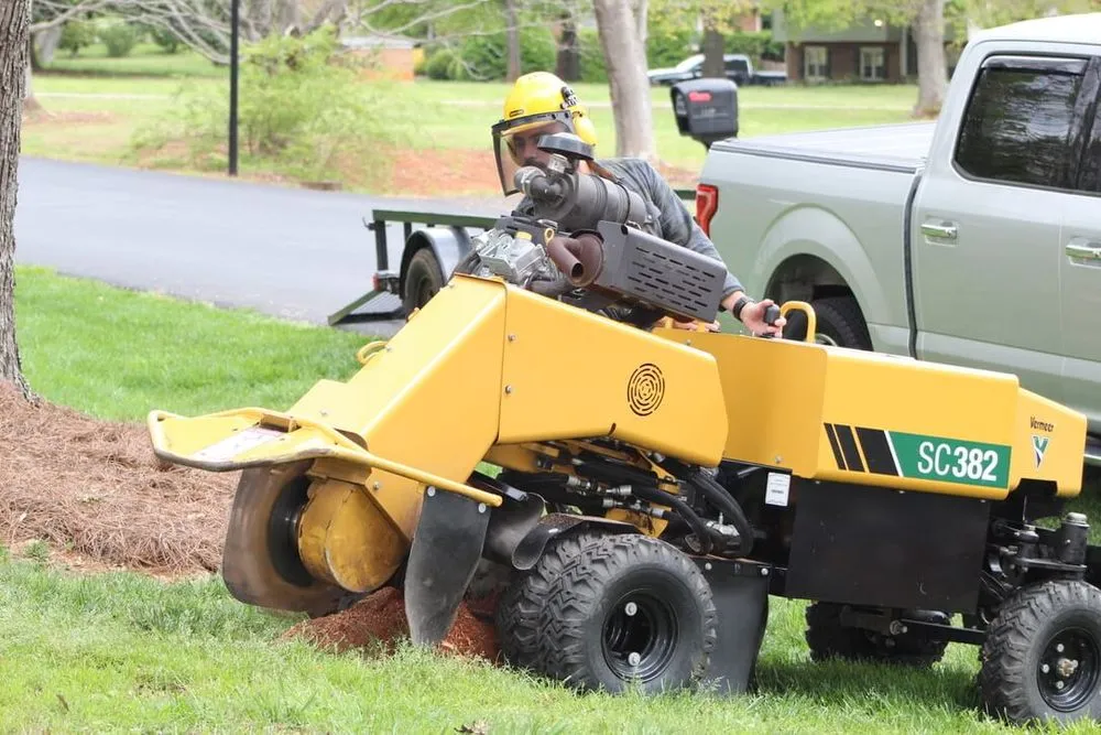 Trusted lawn mowing service for year-round maintenance across Matthews, NC - Stump Busters Stump Grinding