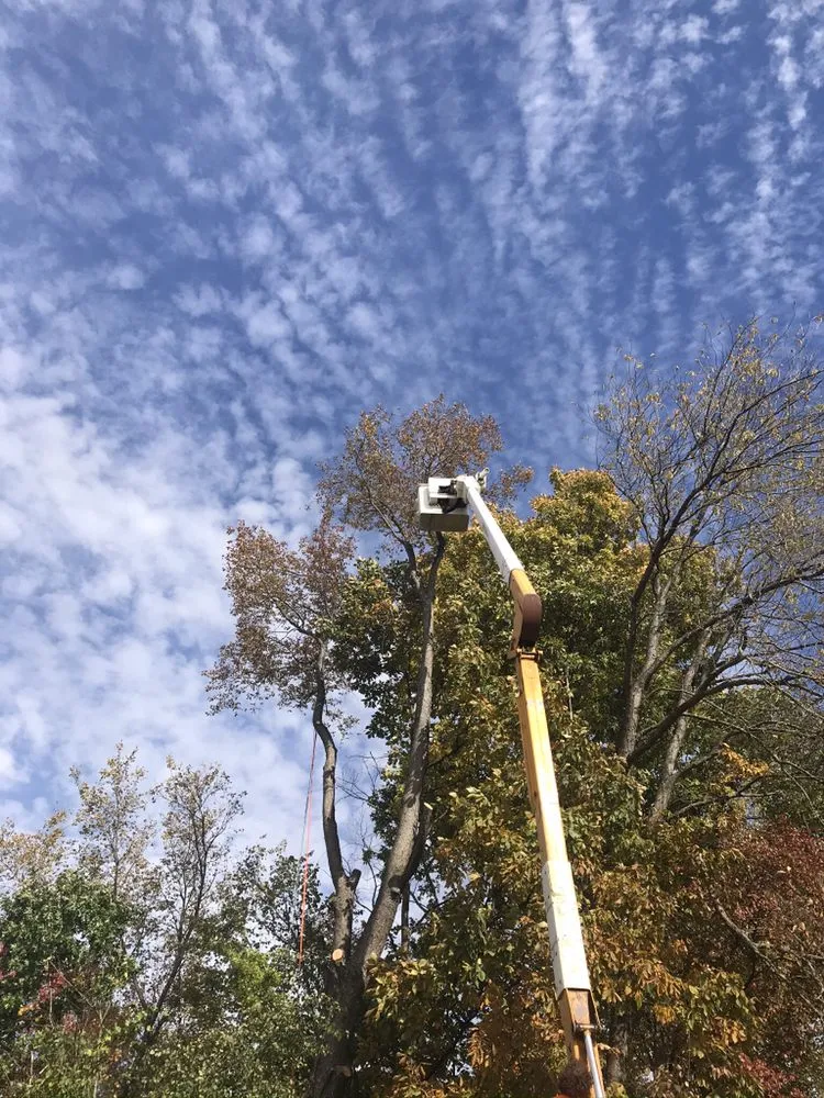 Expert landscape design for outdoor upgrades across Onondaga, MI - Stump Busters Tree Service