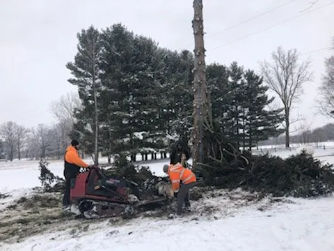 Affordable landscape installation in Onondaga, MI by Stump Busters Tree Service