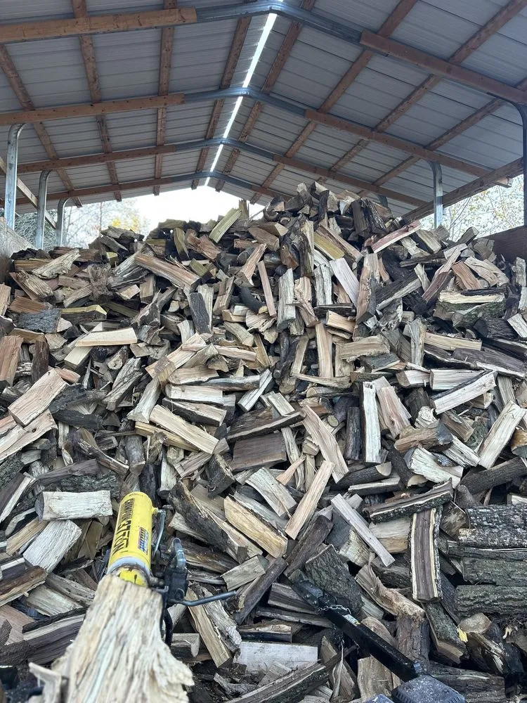 Affordable yard maintenance in Onondaga, MI by Stump Busters Tree Service