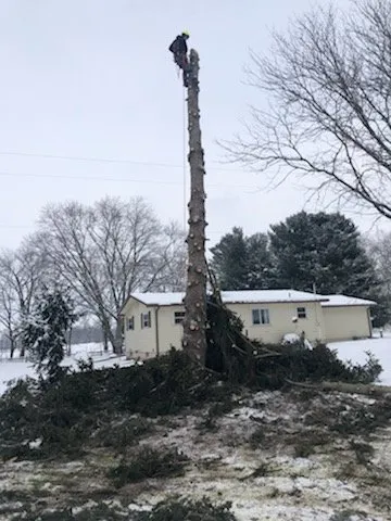 Custom outdoor landscaping in Onondaga, MI by Stump Busters Tree Service