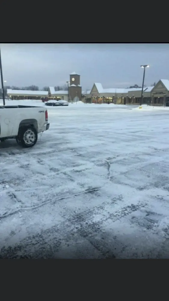 Expert lawn care service for beautiful yards across Onondaga, MI - Stump Busters Tree Service