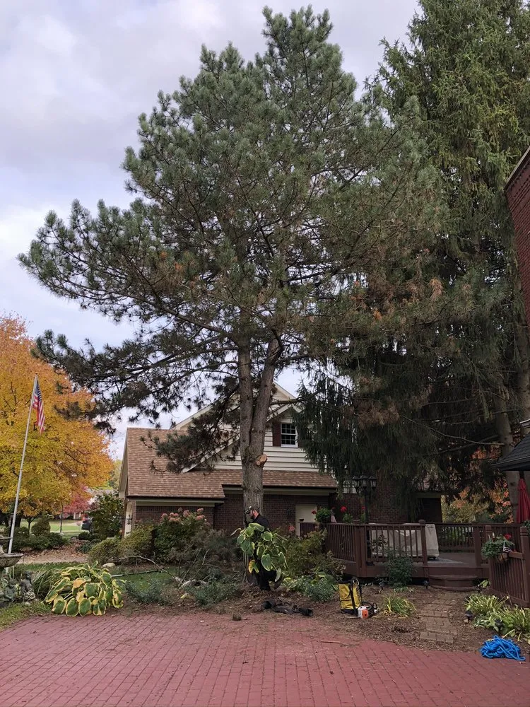 Expert landscape design in Onondaga, MI - Stump Busters Tree Service