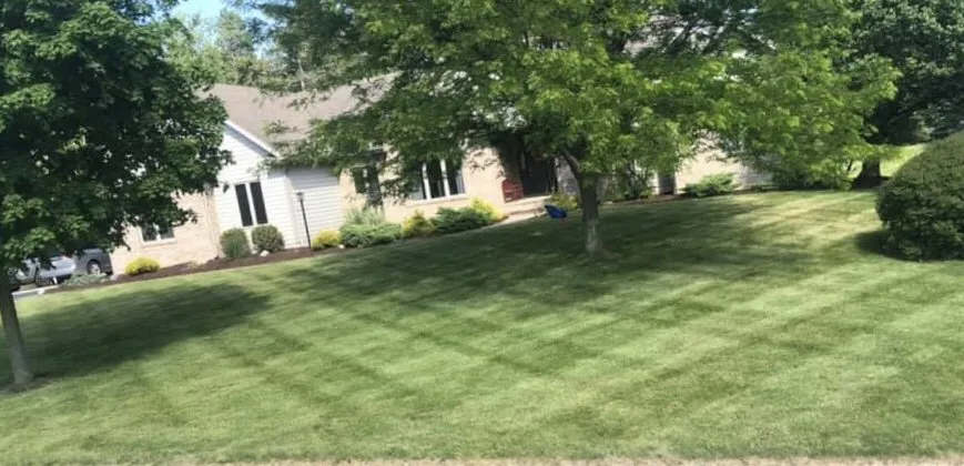 Trusted landscaping services experts serving Onondaga, MI - Stump Busters Tree Service