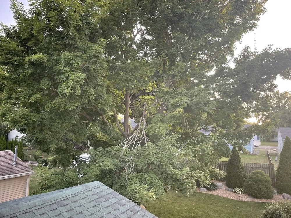 Custom garden landscaping experts serving Onondaga, MI - Stump Busters Tree Service