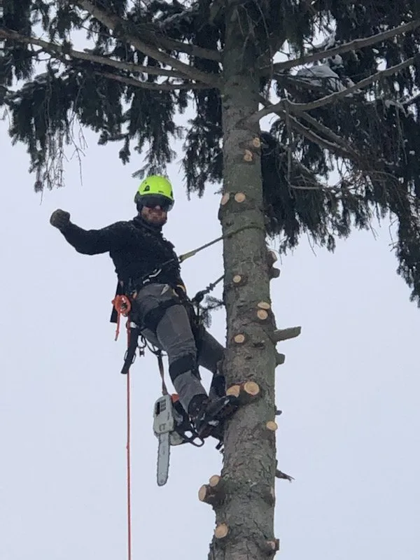 Reliable outdoor landscaping experts serving Onondaga, MI - Stump Busters Tree Service