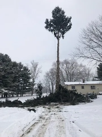 Top-rated outdoor landscaping in Onondaga, MI by Stump Busters Tree Service