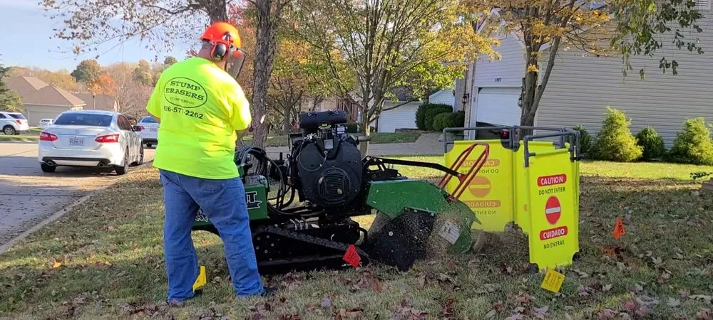 Affordable yard cleanup service in St Charles, MO by Stump Erasers