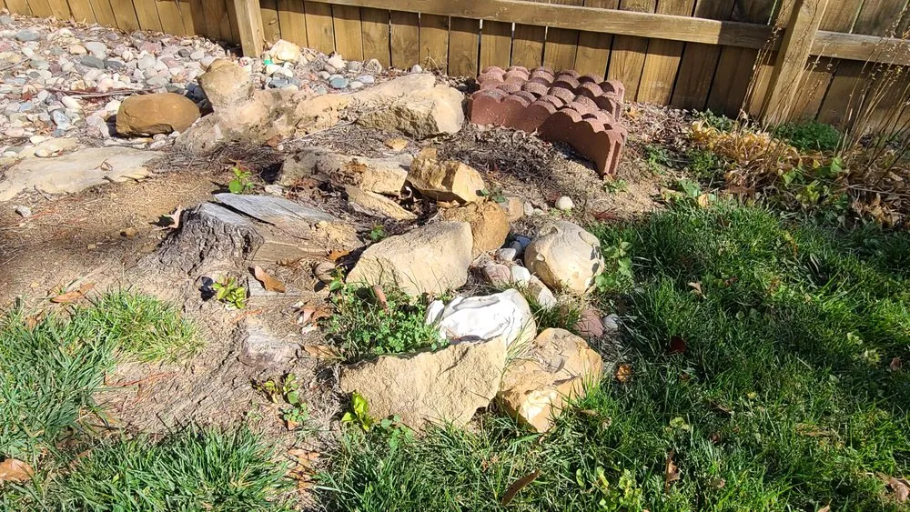 Expert yard cleanup service experts serving St Charles, MO - Stump Erasers