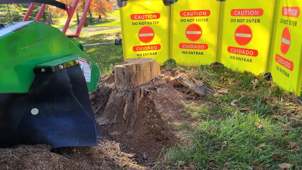 Custom yard maintenance for residential properties in St Charles, MO by Stump Erasers