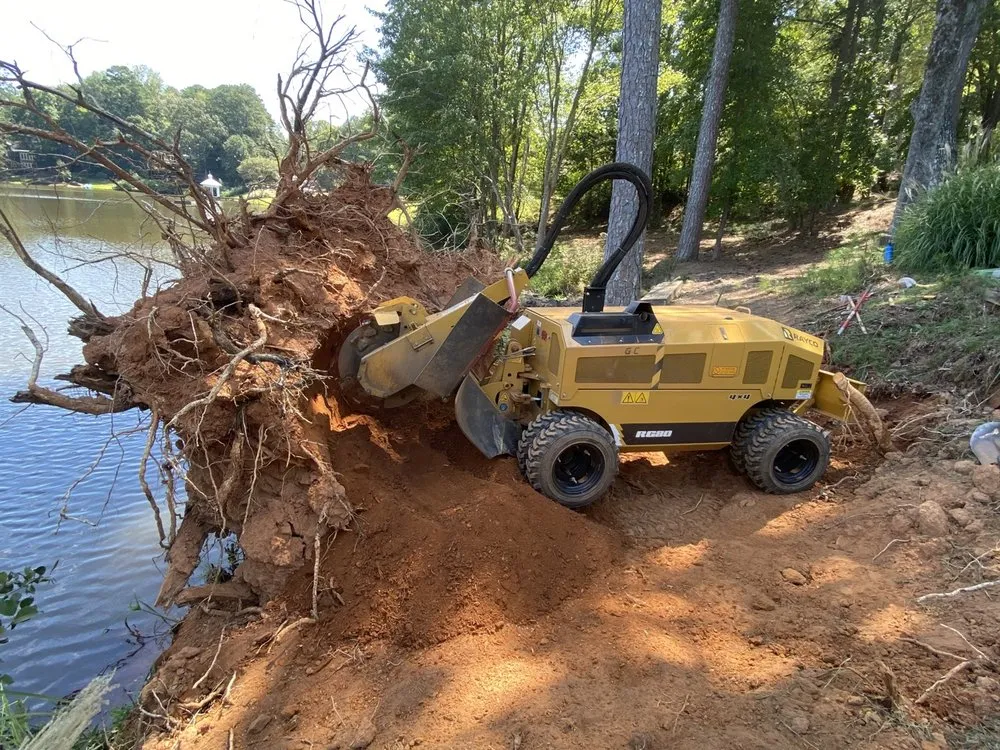 Affordable landscape design in Alpharetta, GA by Stump Grinder Company