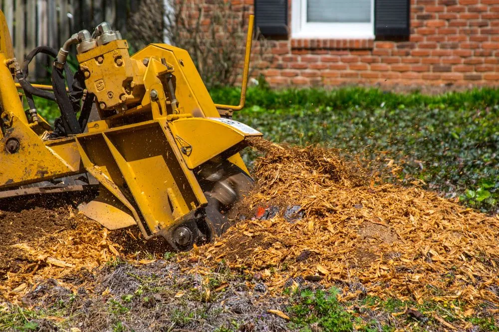 Affordable lawn mowing service in Alpharetta, GA by Stump Grinder Company