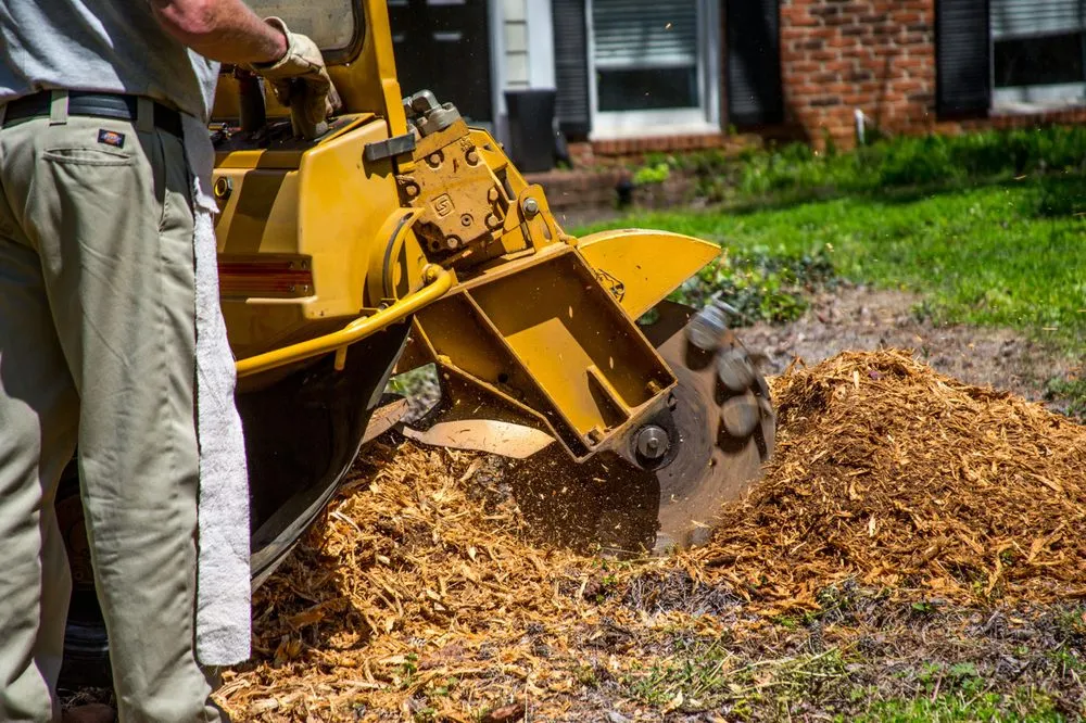 Affordable residential landscaping for beautiful yards in Alpharetta, GA by Stump Grinder Company