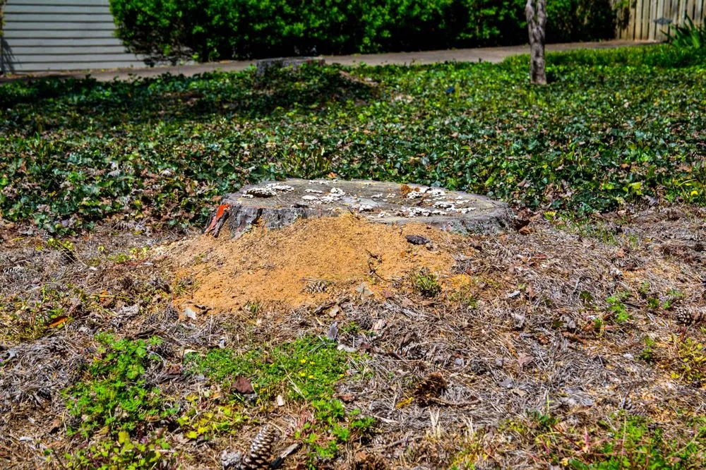 Professional residential landscaping in Alpharetta, GA - Stump Grinder Company