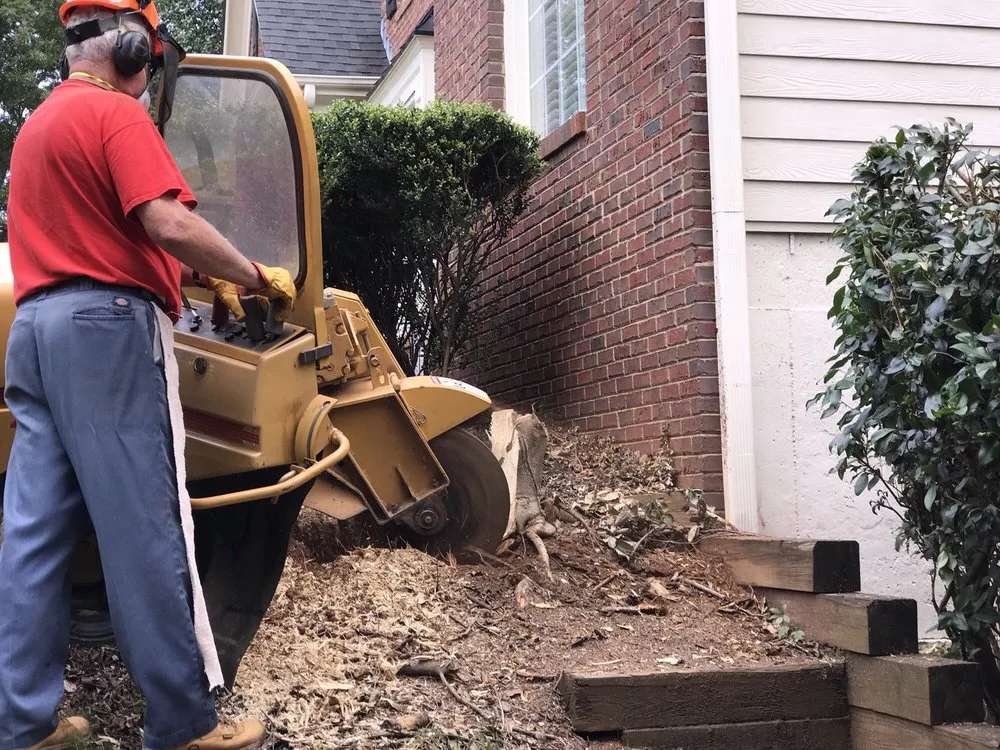 Expert landscaping services for beautiful yards across Alpharetta, GA - Stump Grinder Company