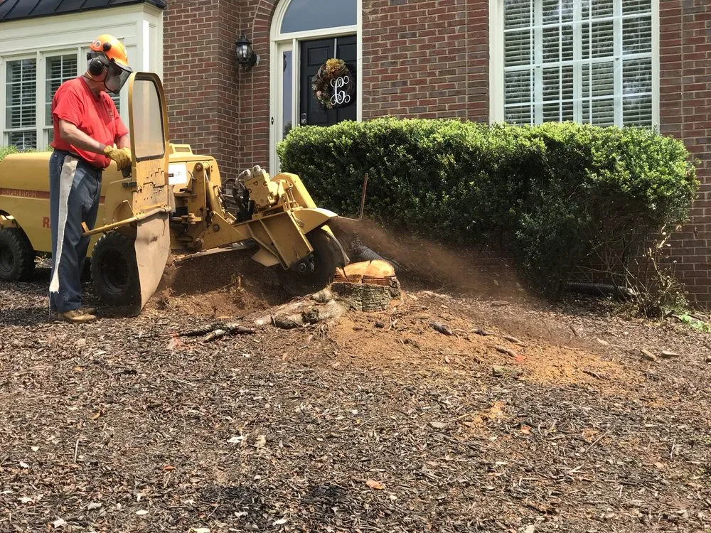 Affordable garden landscaping experts serving Alpharetta, GA - Stump Grinder Company