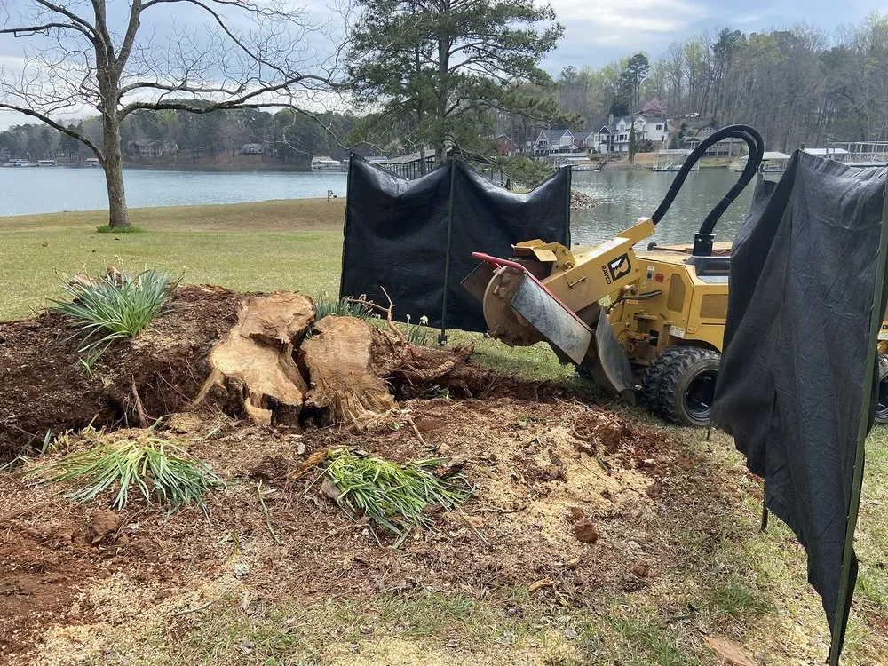Expert lawn mowing service for residential properties across Alpharetta, GA - Stump Grinder Company