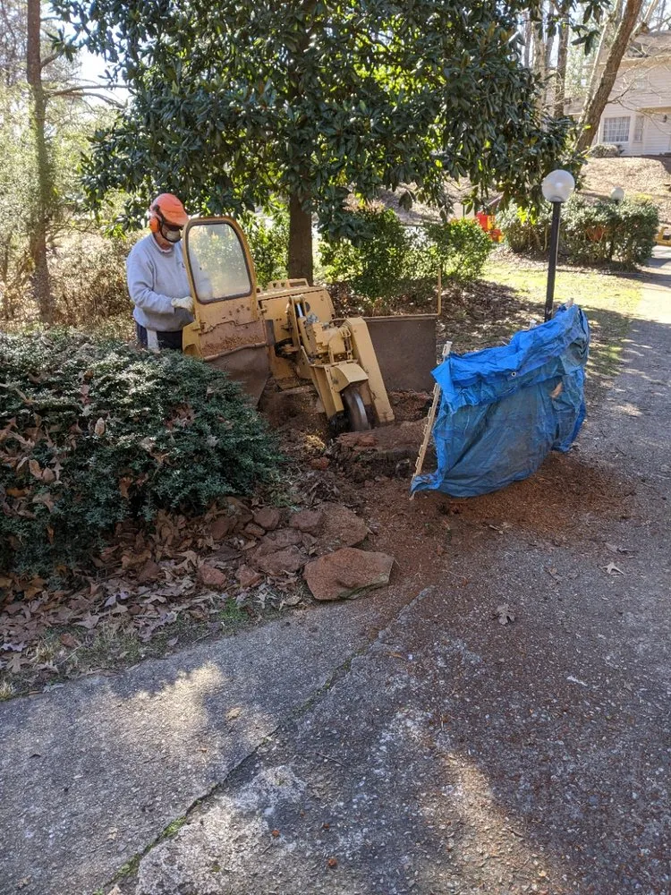 Professional garden landscaping in Alpharetta, GA by Stump Grinder Company