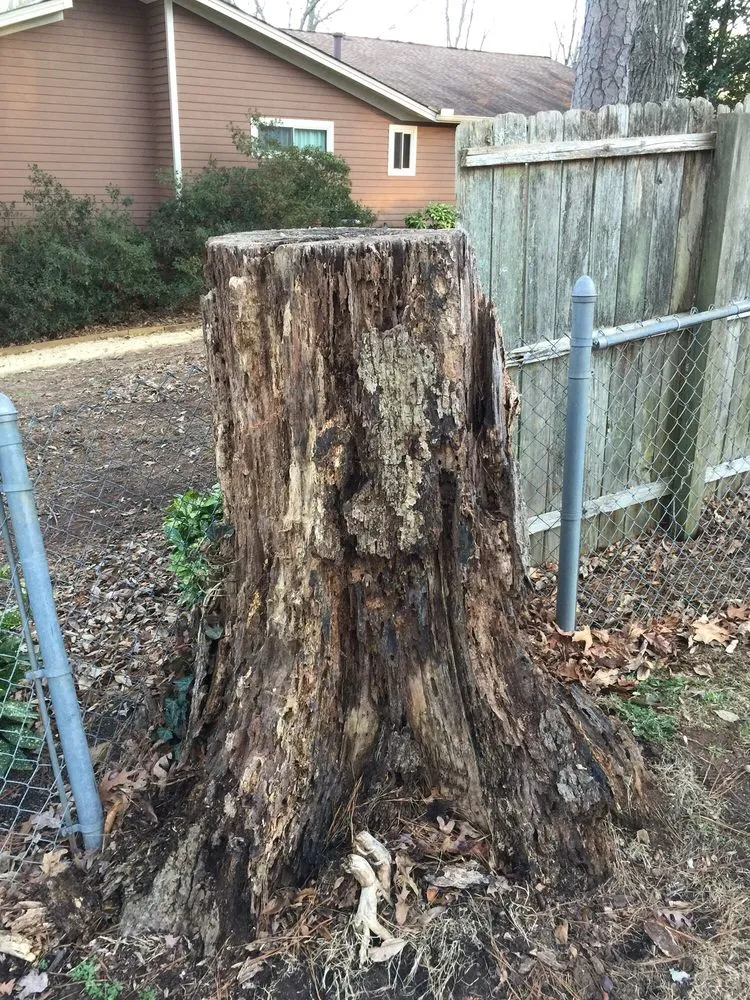 Affordable residential landscaping experts serving Alpharetta, GA - Stump Grinder Company