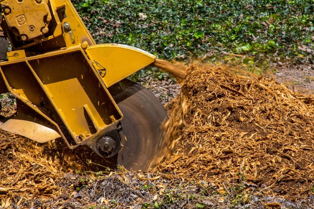 Trusted landscape design in Alpharetta, GA by Stump Grinder Company