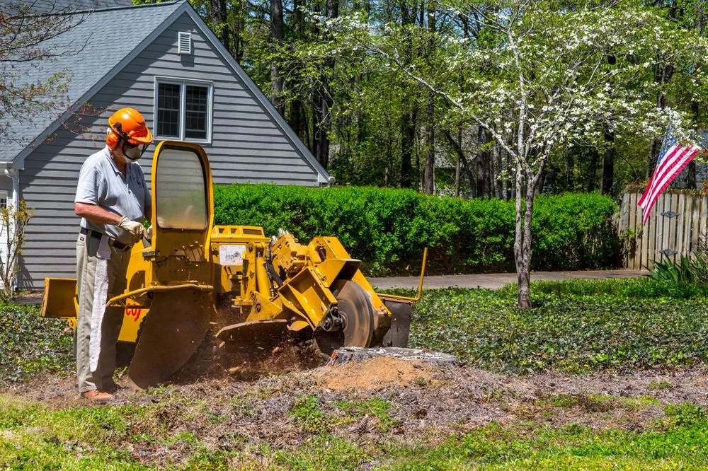 Trusted lawn mowing service for residential properties across Alpharetta, GA - Stump Grinder Company