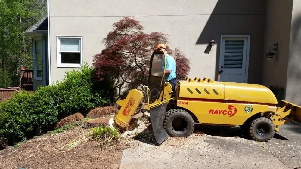 Professional landscape design in Alpharetta, GA by Stump Grinder Company