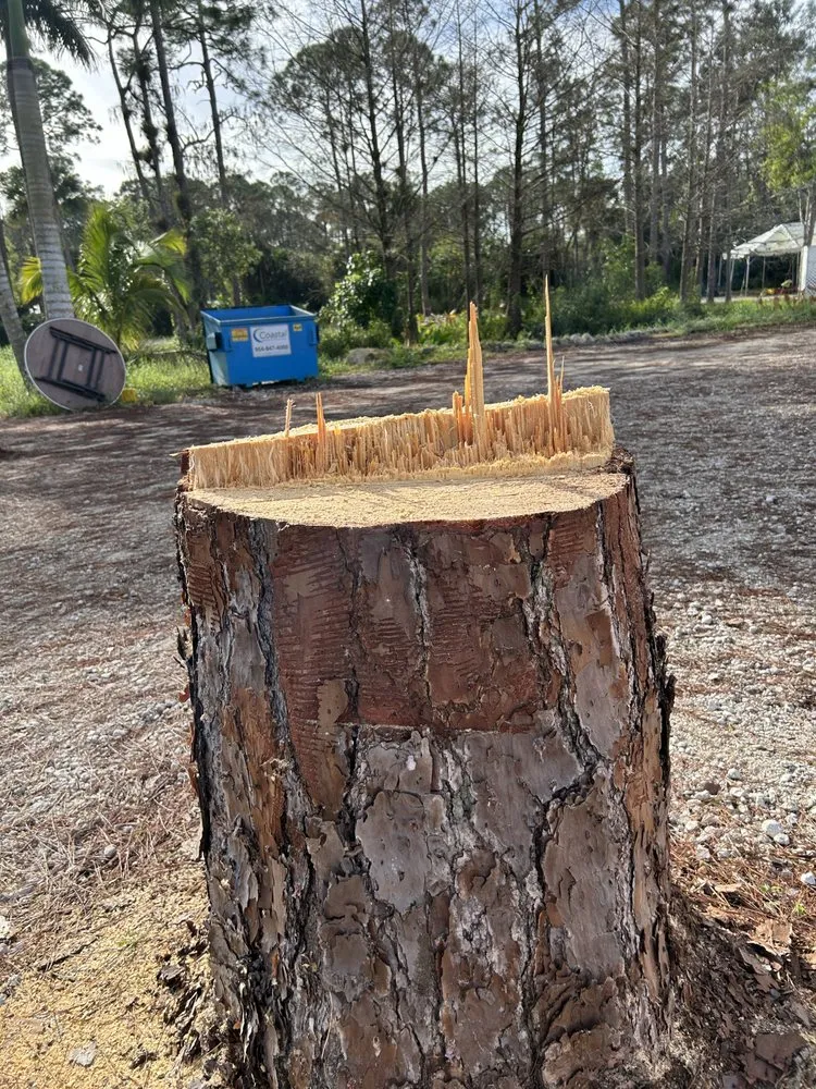 Trusted lawn mowing service for residential properties across Palm Beach Gardens, FL - Stump It