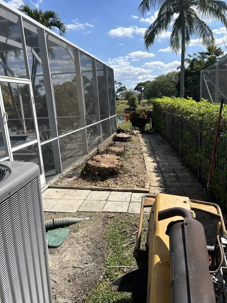 Expert garden landscaping for year-round maintenance across Palm Beach Gardens, FL - Stump It