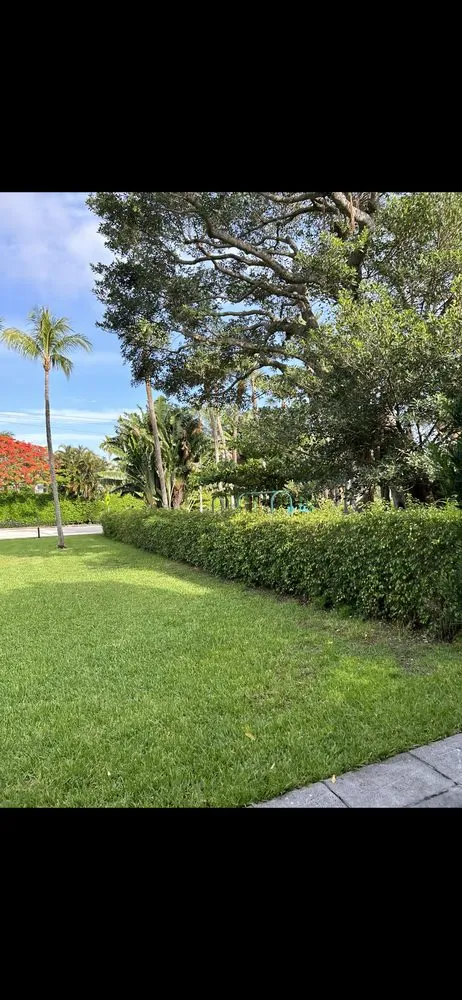 Professional landscaping services for residential properties in Palm Beach Gardens, FL by Stump It