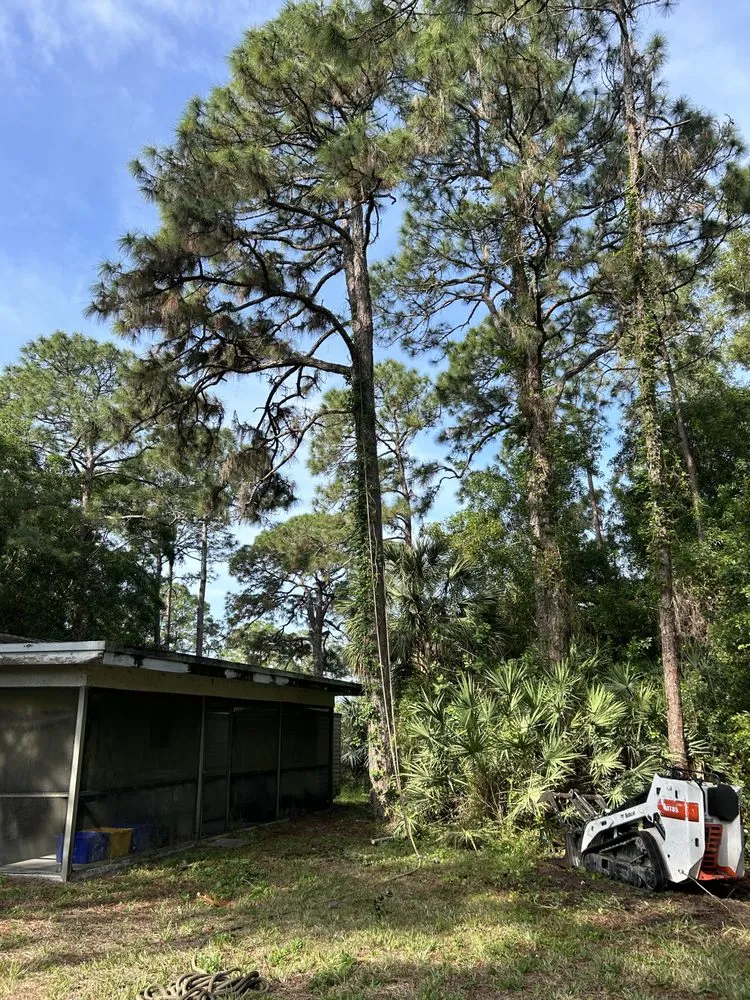 Local yard cleanup service in Palm Beach Gardens, FL by Stump It